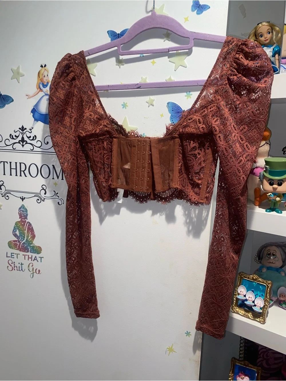 Anthropologie Rust Lace Corset Long Sleeve Crop Top XS Boho Romantic Cottagecore